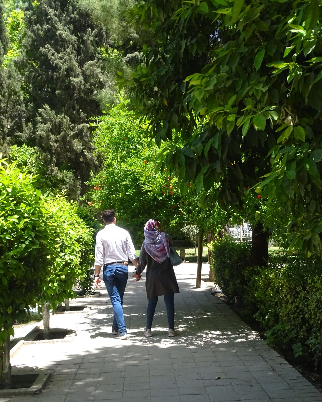 Eram Botanical Garden, Shiraz, Iran