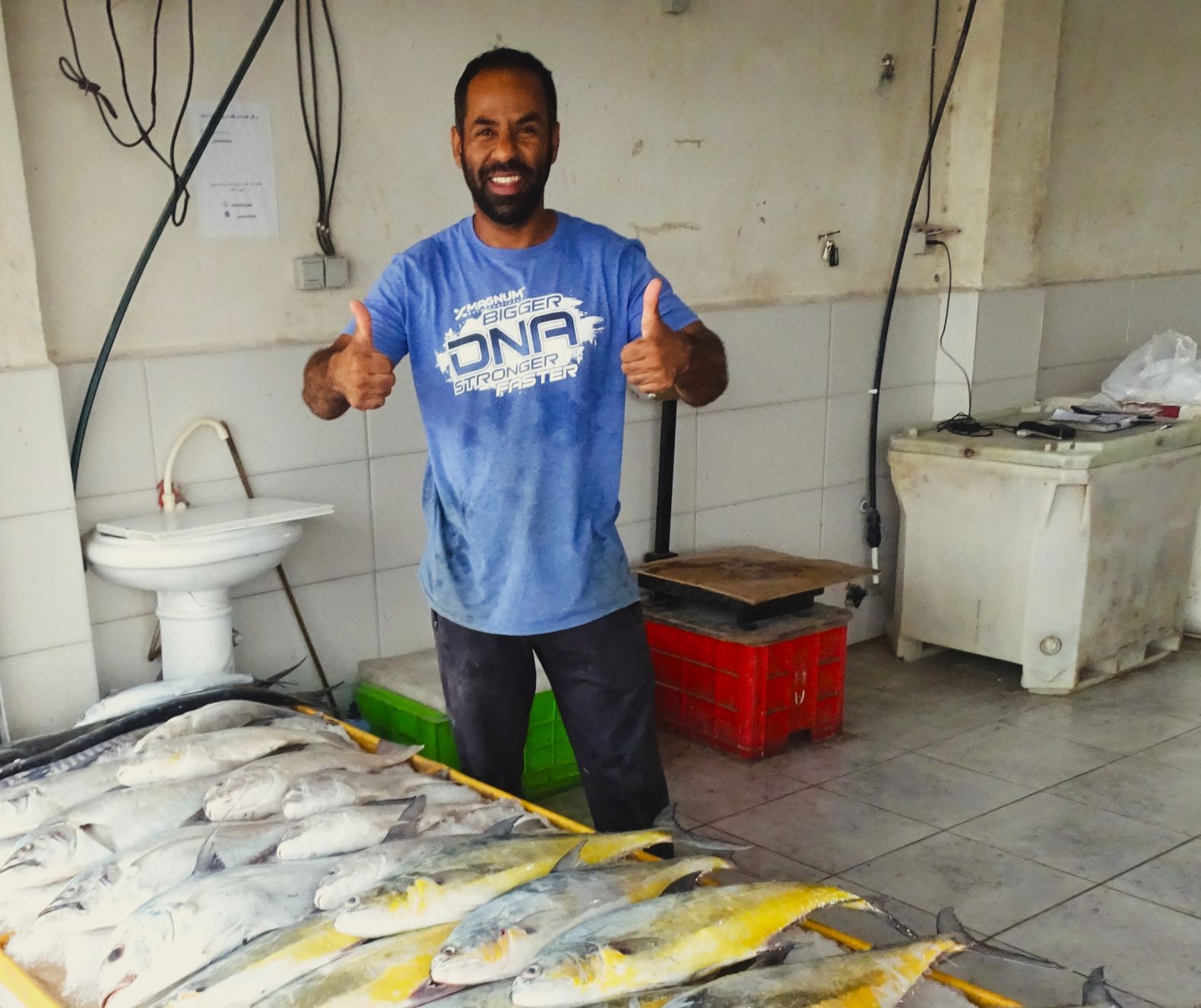 Fish Market, Qeshm, Iran