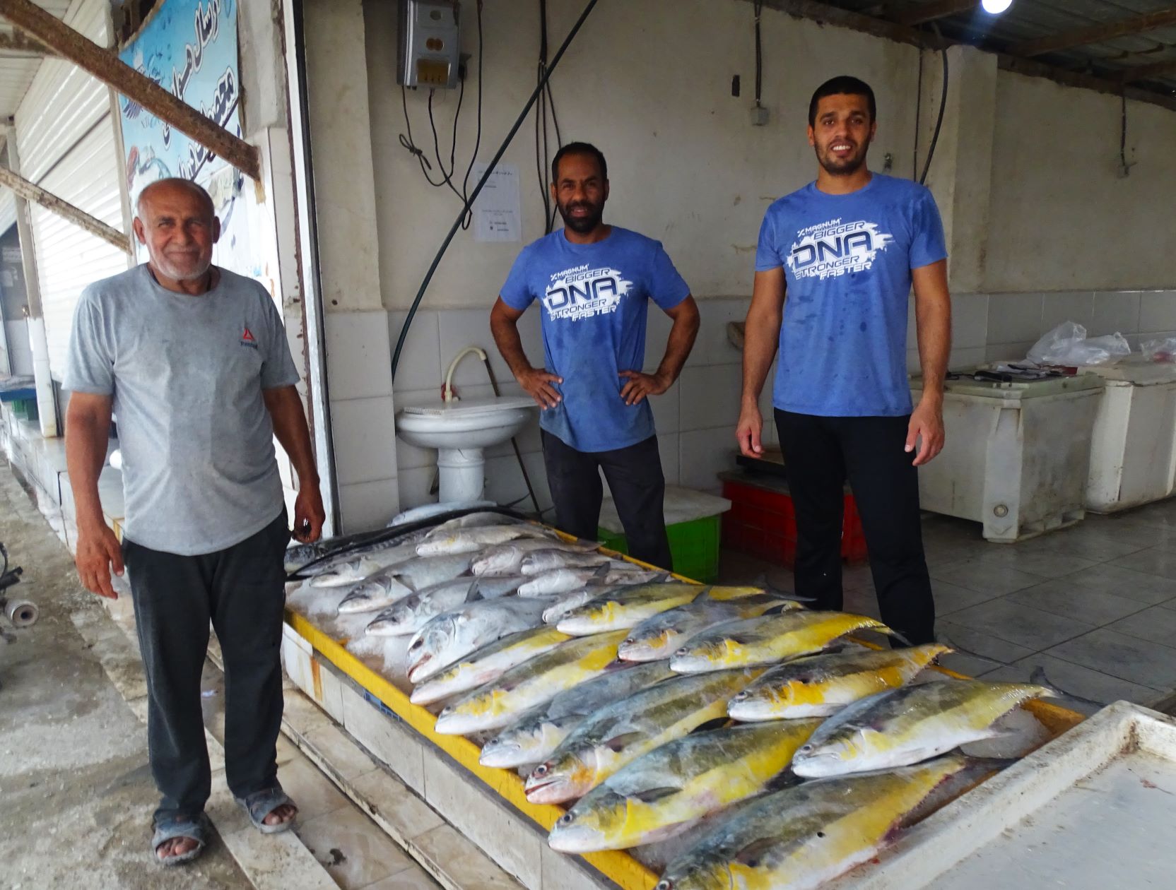 Fish Market, Qeshm, Iran