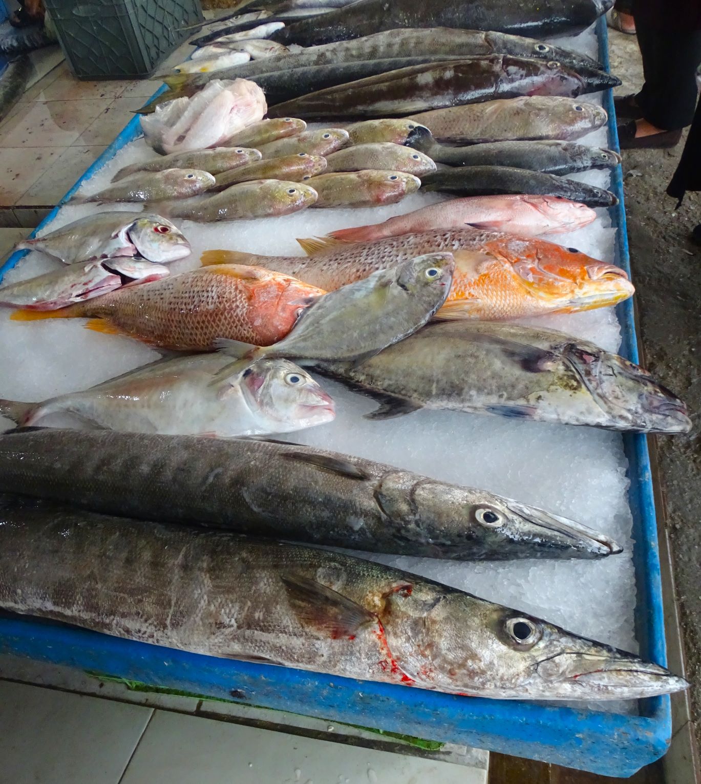 Fish Market, Qeshm, Iran