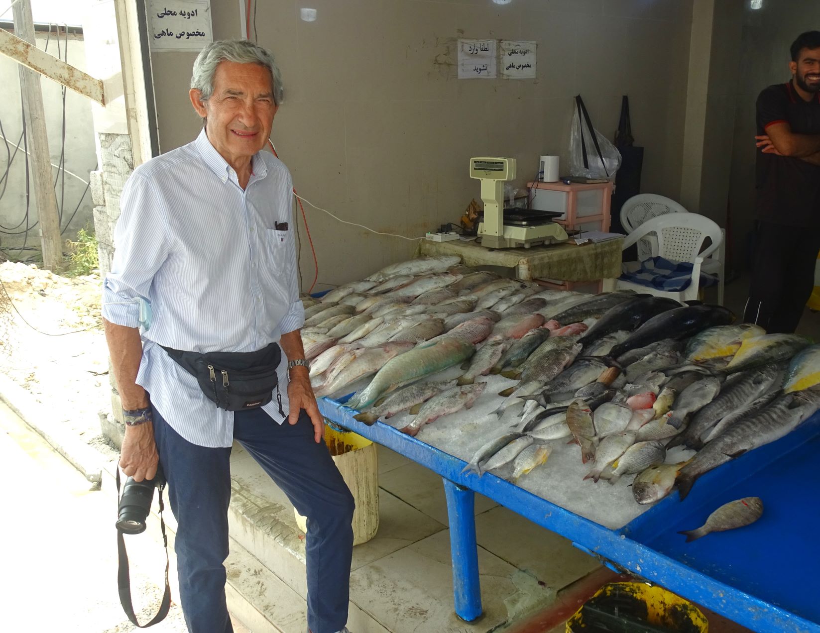 Fish Market, Qeshm, Iran