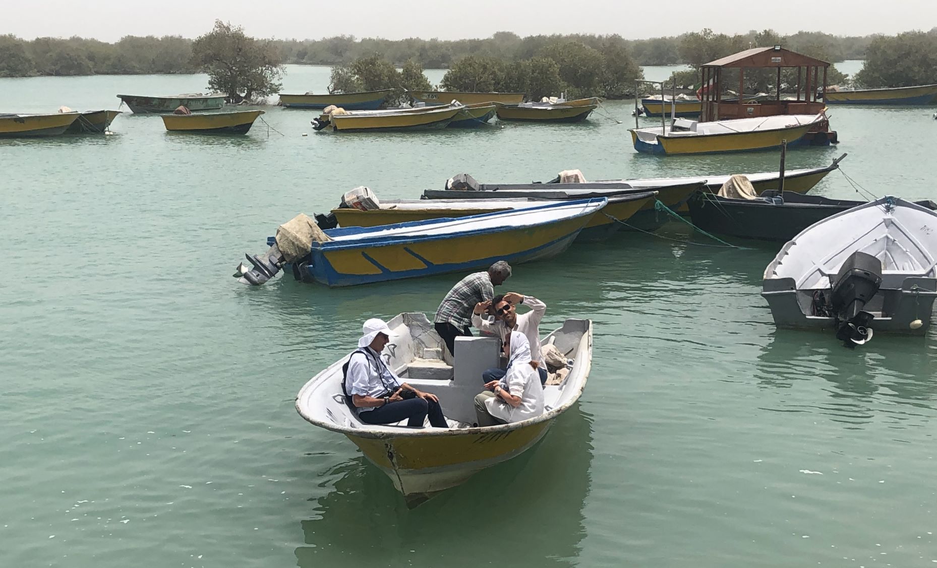 Mangrove Forest, Qeshm, Iran