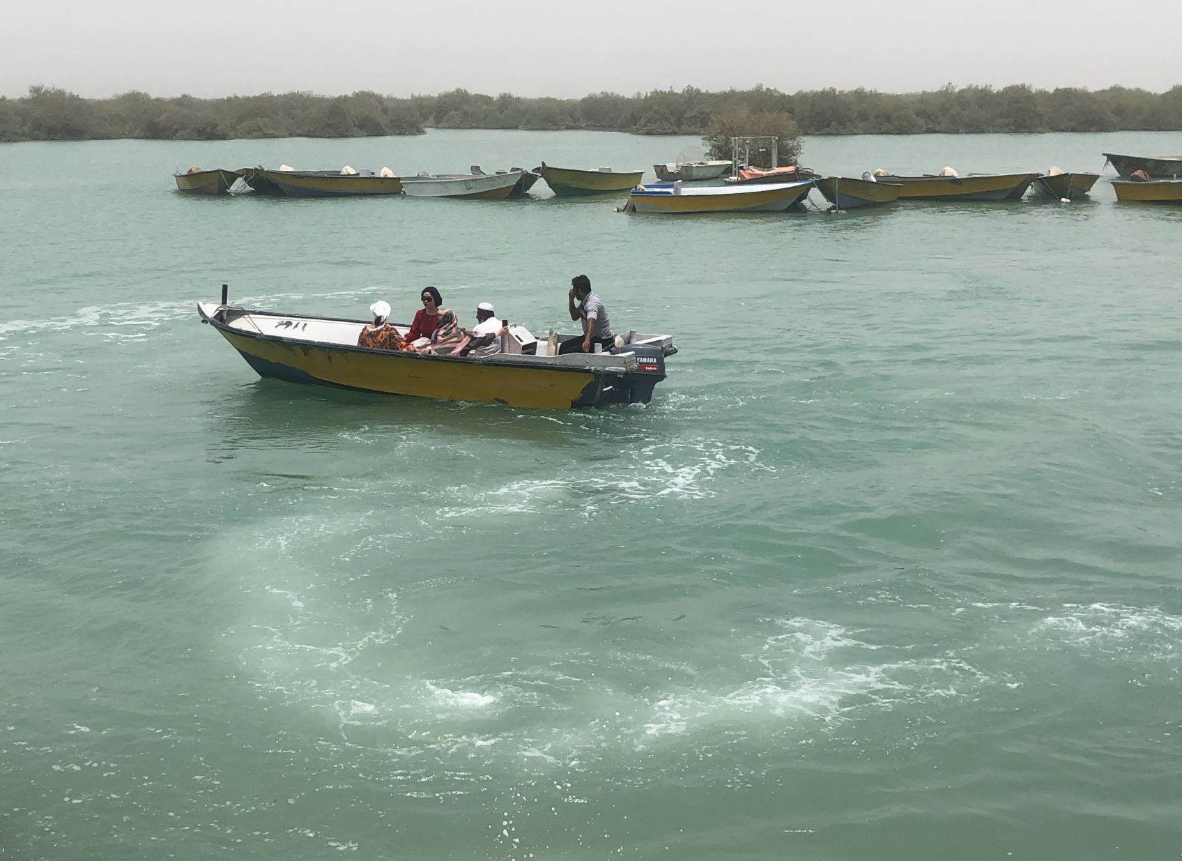 Mangrove Forest, Qeshm, Iran