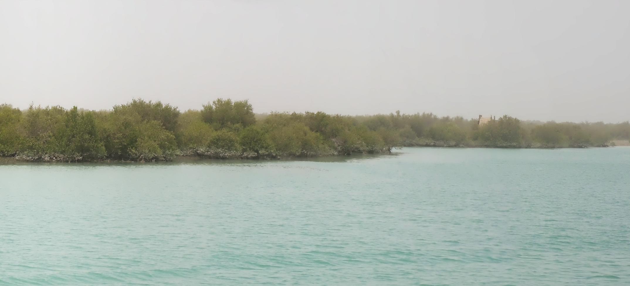 Mangrove Forest, Qeshm, Iran