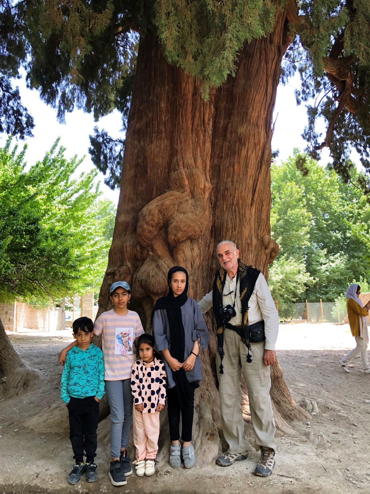 Twin Cedar Trees, Sirch Village, Kerman Province, Iran