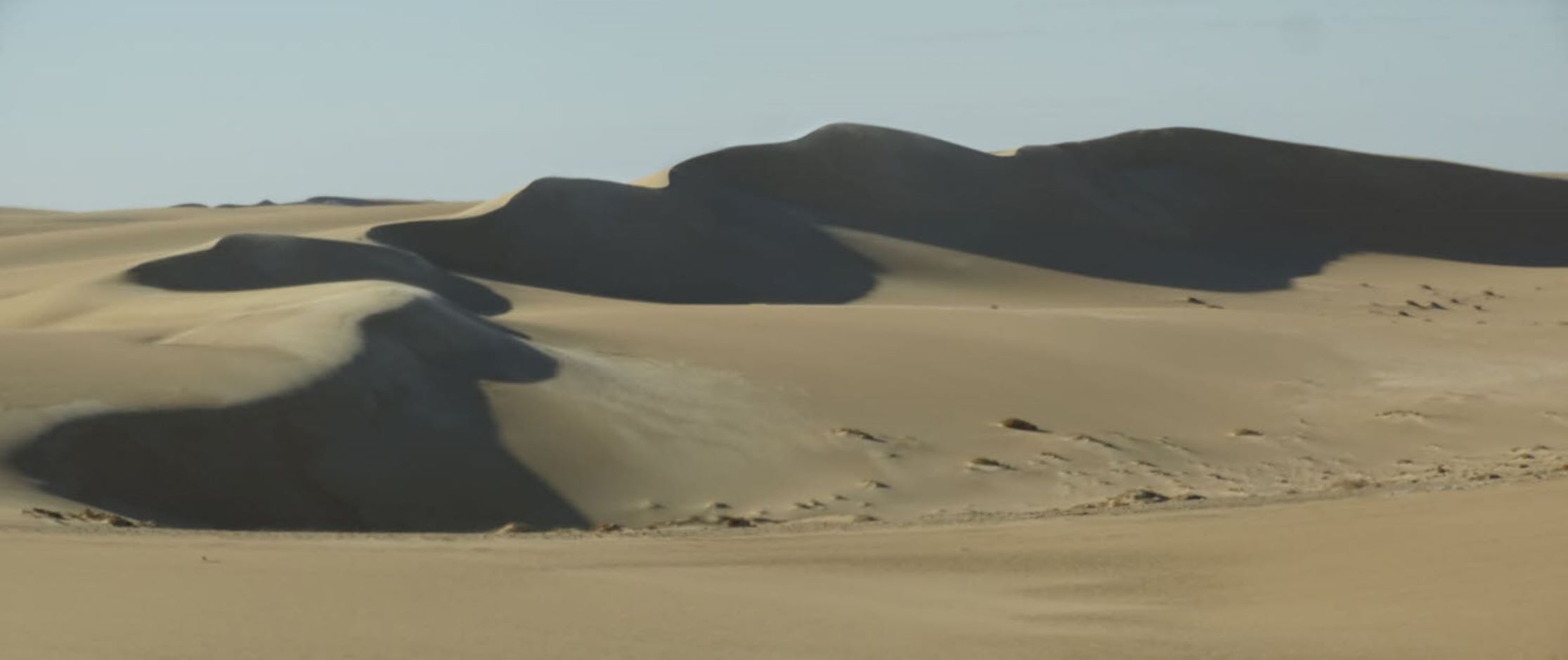 Great Sand Sea, Siwa