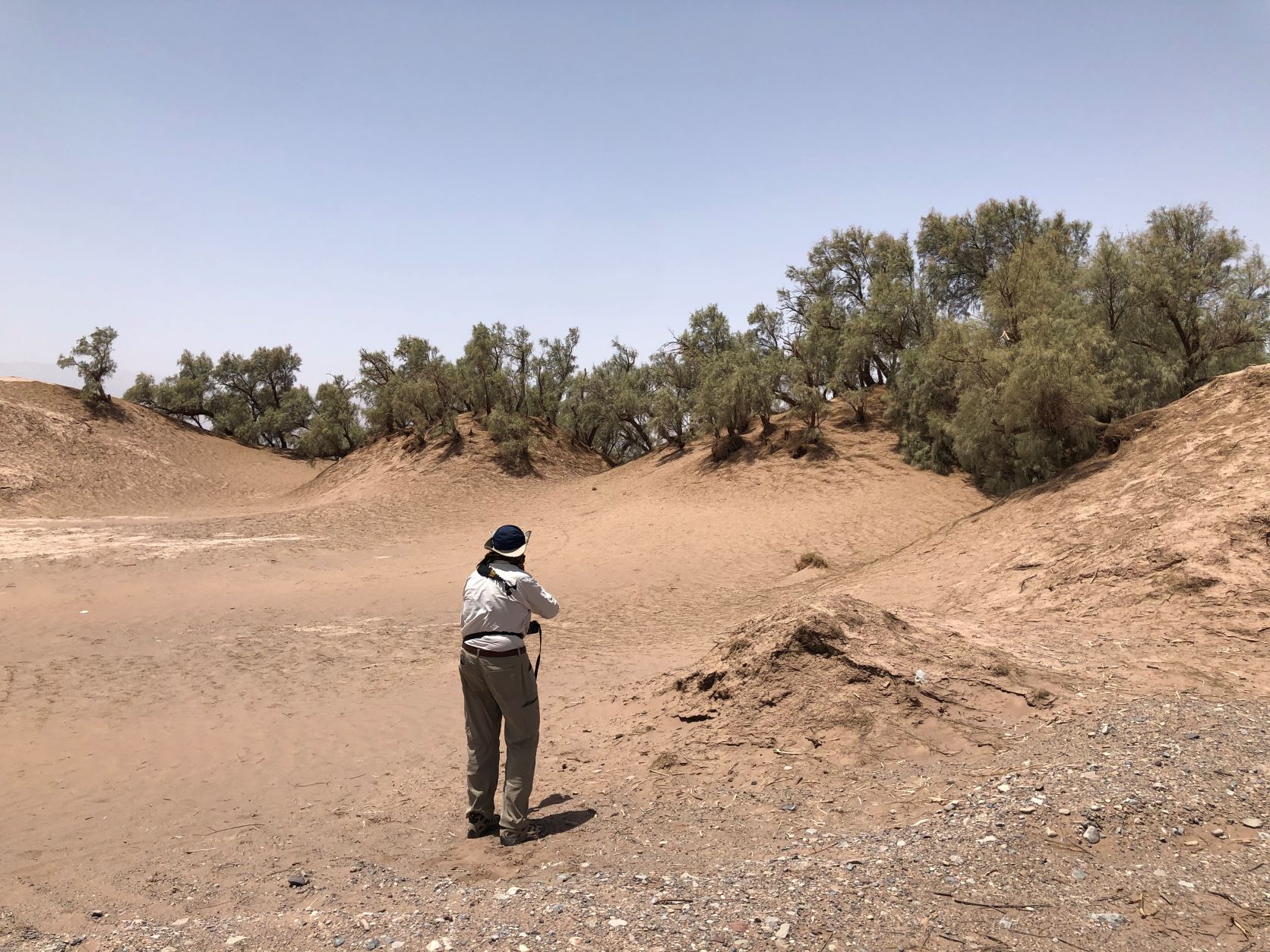 Nebka Park, Dasht-e Lut, Lut Desert, Kerman, Iran