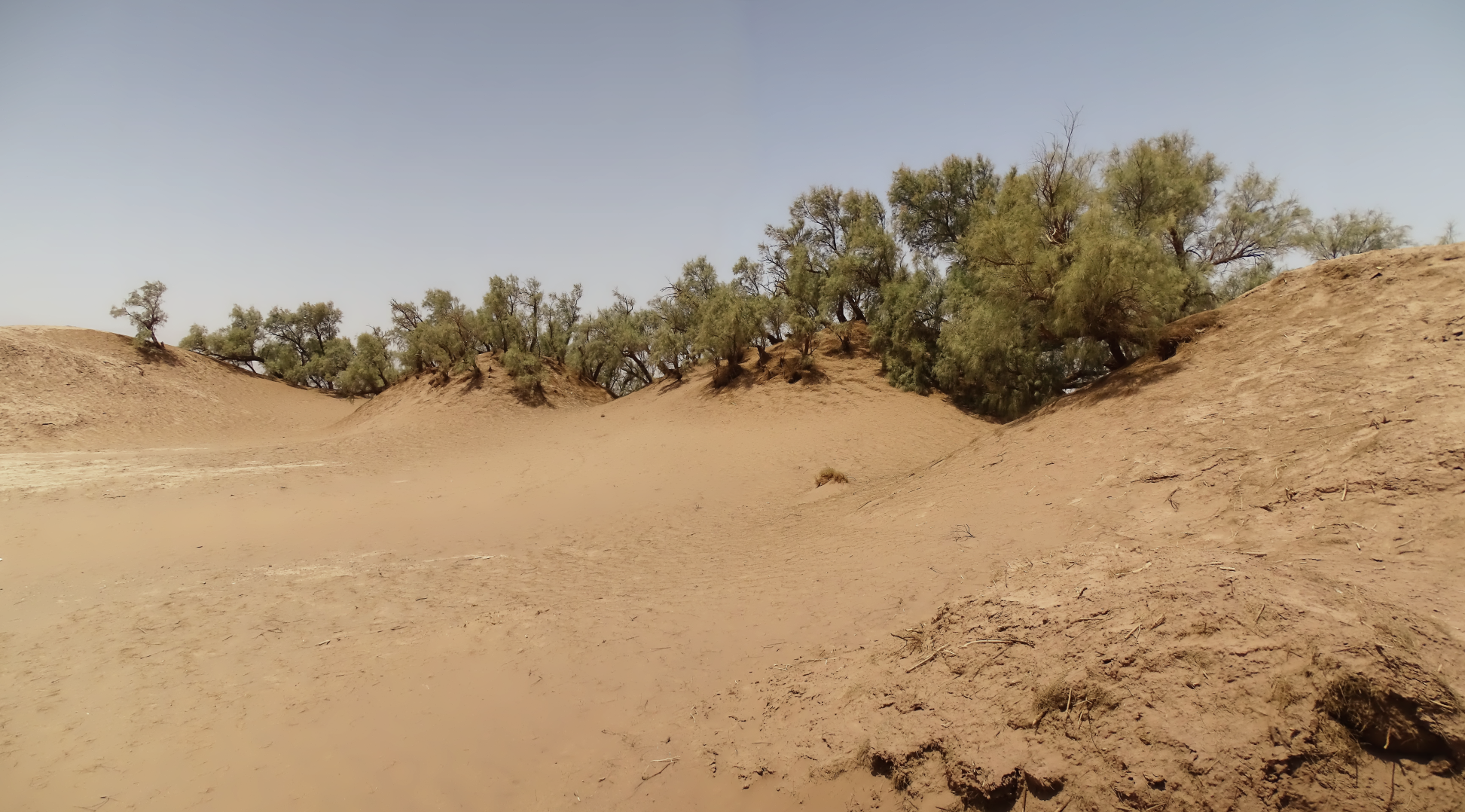 Nebka Park, Dasht-e Lut, Lut Desert, Kerman, Iran