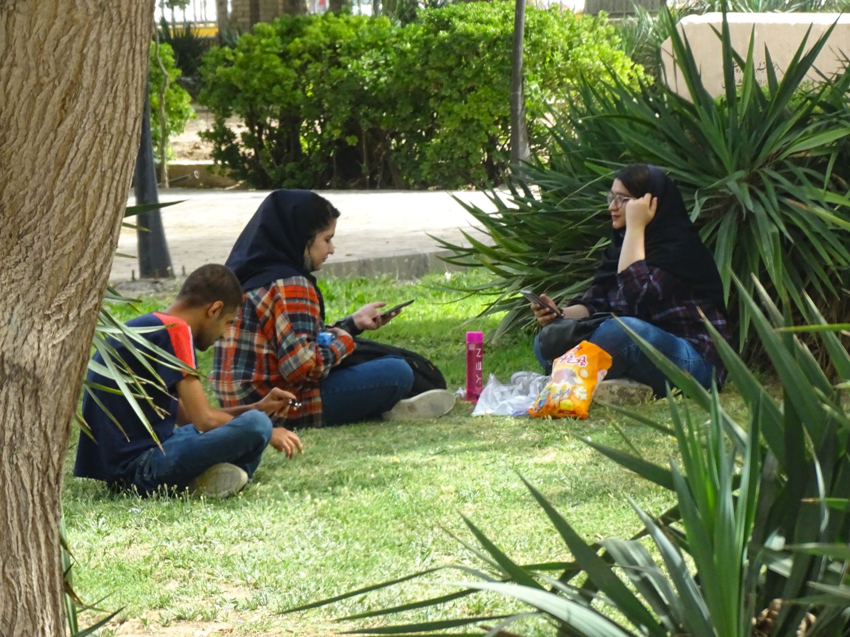 Graduate Students, Central Library of Kerman