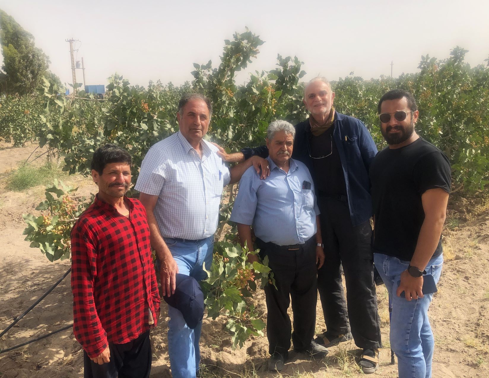 Pistachio Farm, Rafsanjan, Iran