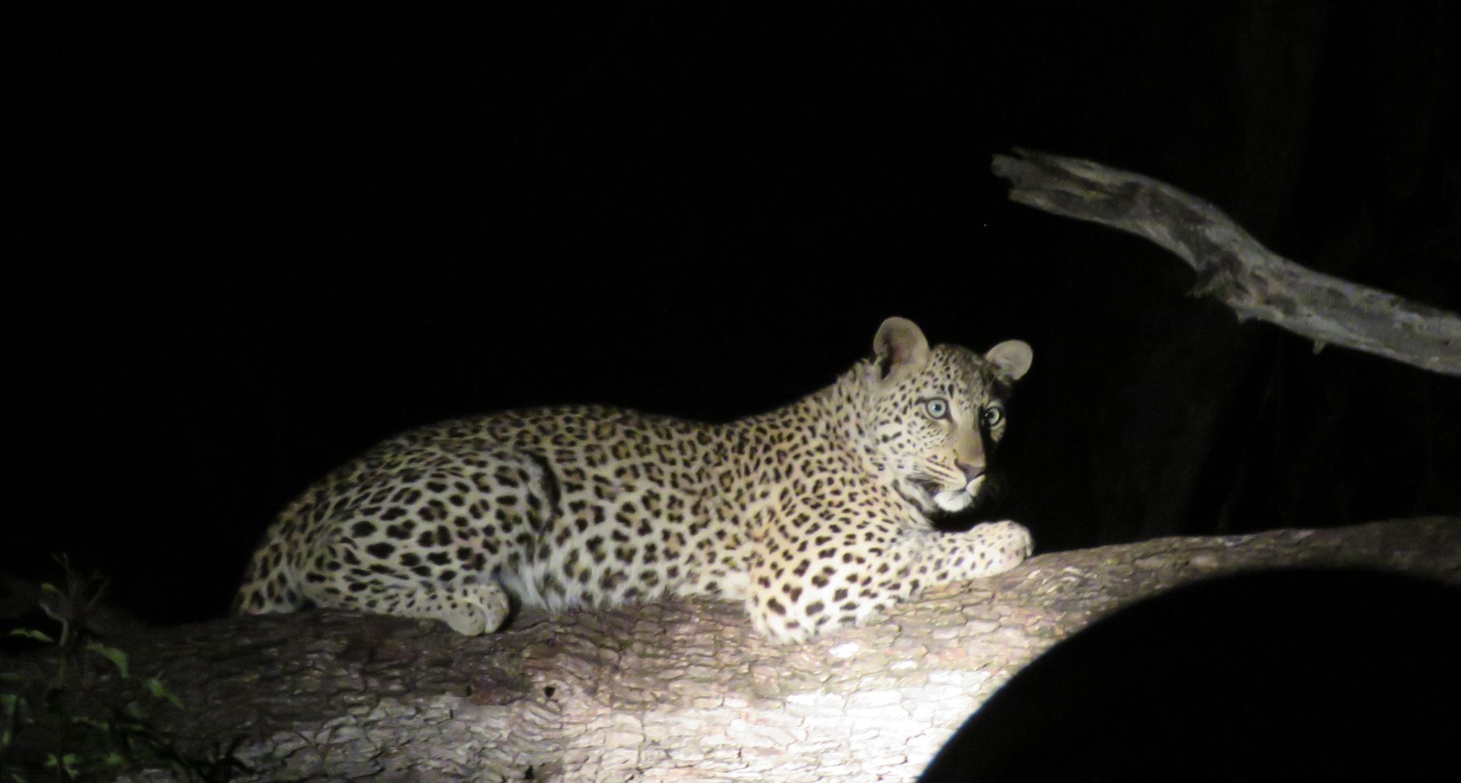 Kruger National Park, South Africa