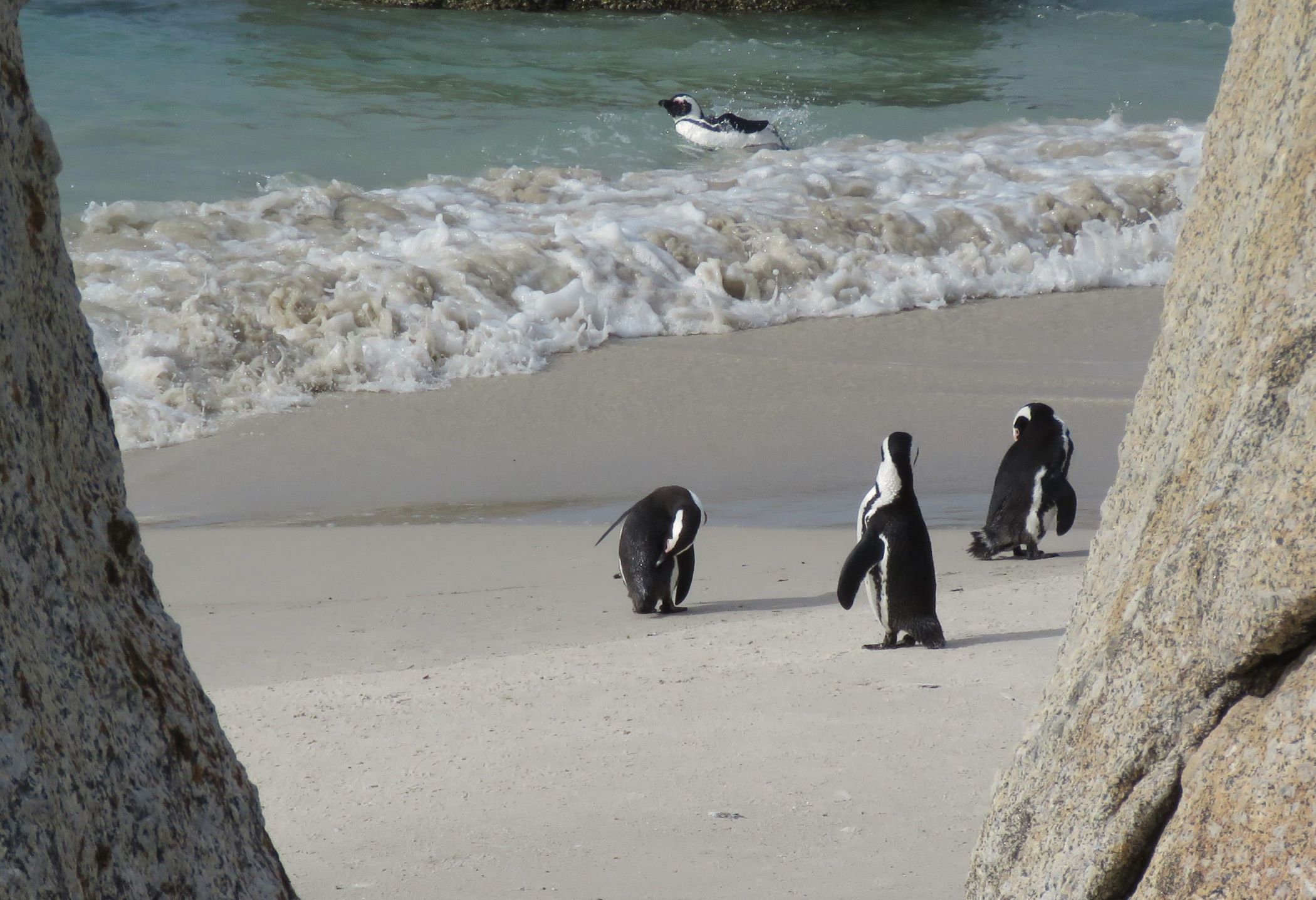 Near Cape Town, South Africa