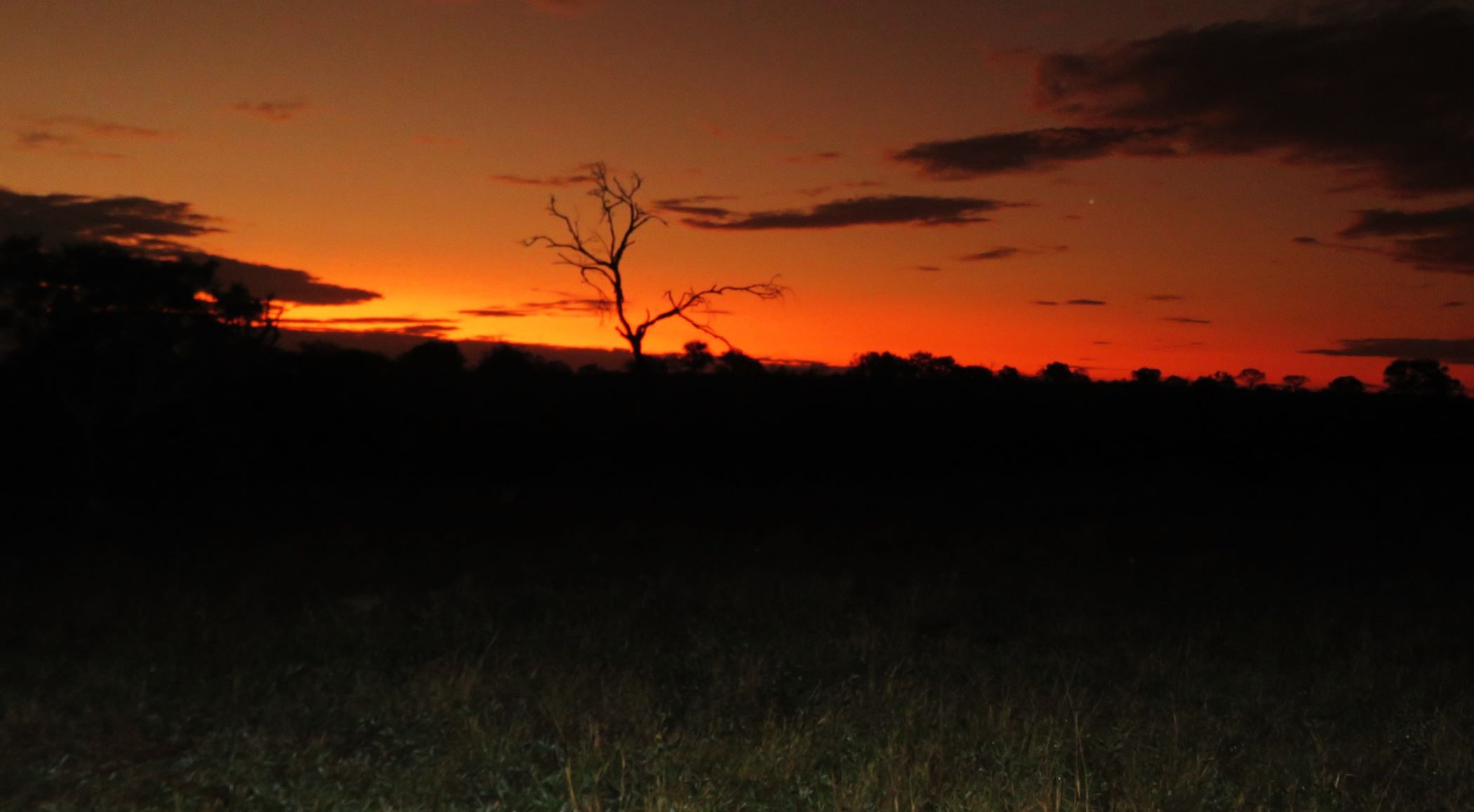 Kruger National Park, South Africa