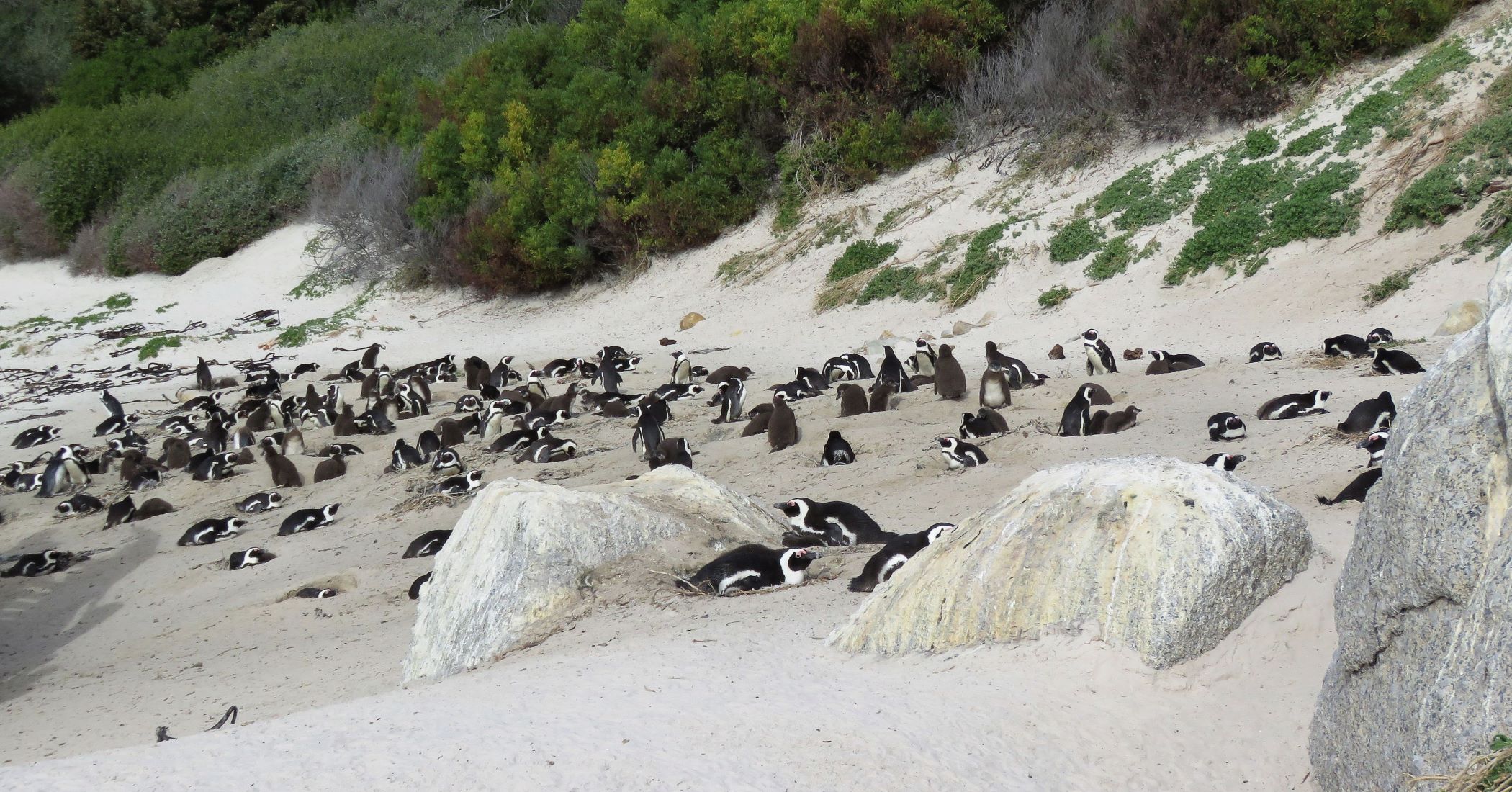 Near Cape Town, South Africa