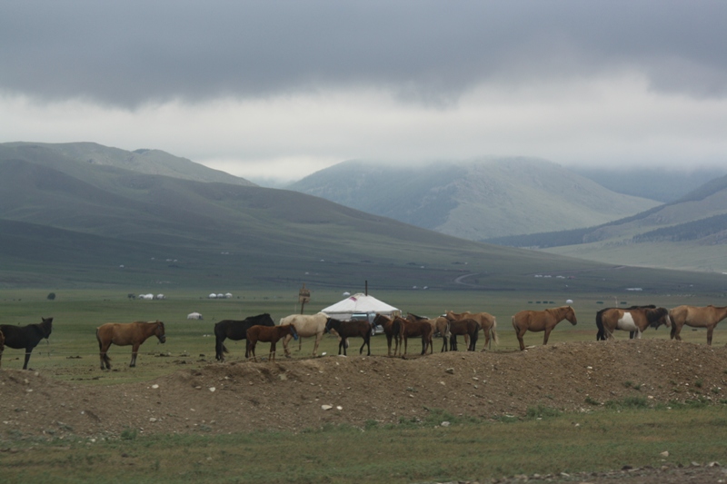 Central Mongolia