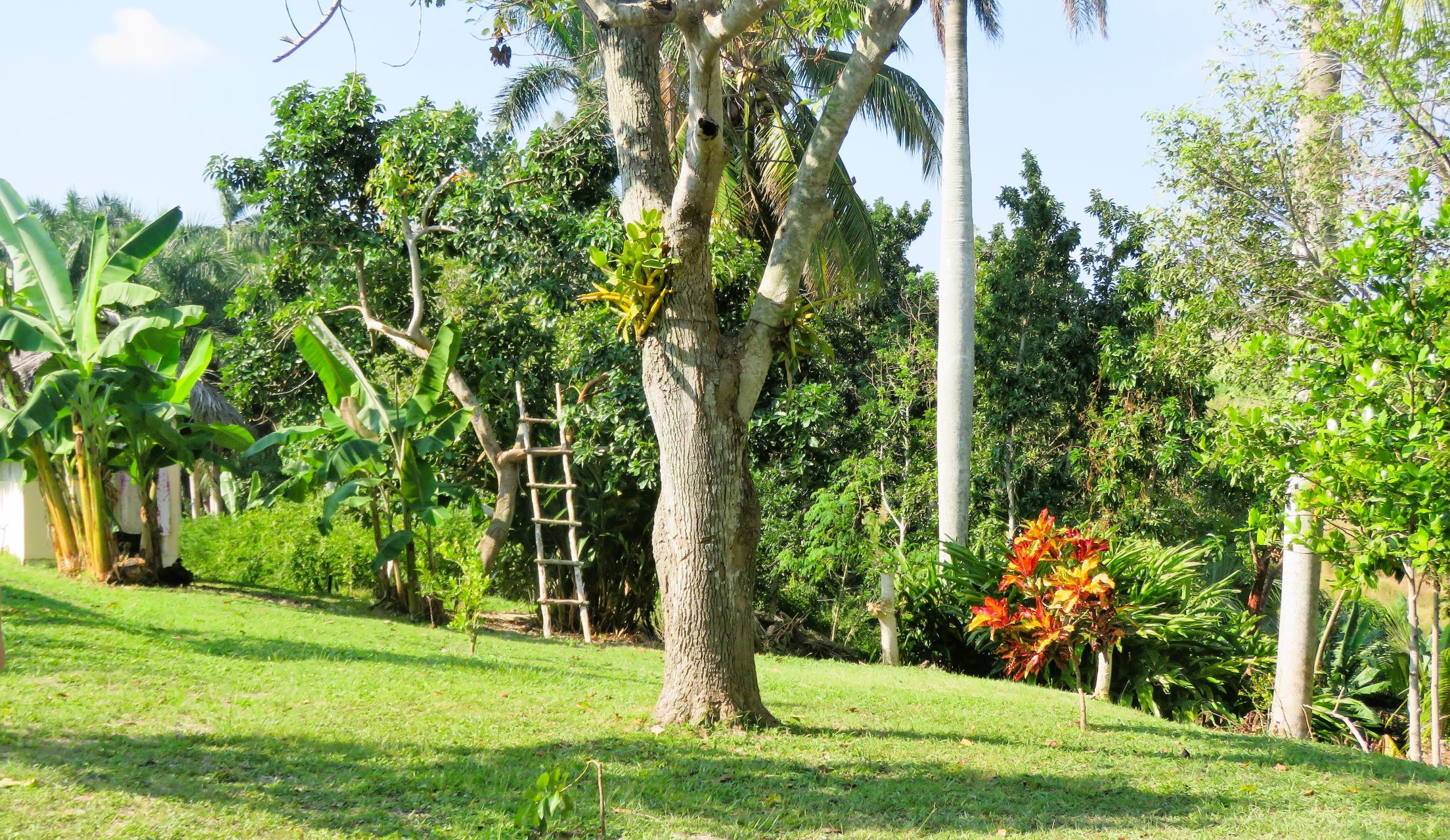 Private Enterprise Farm, Cuba