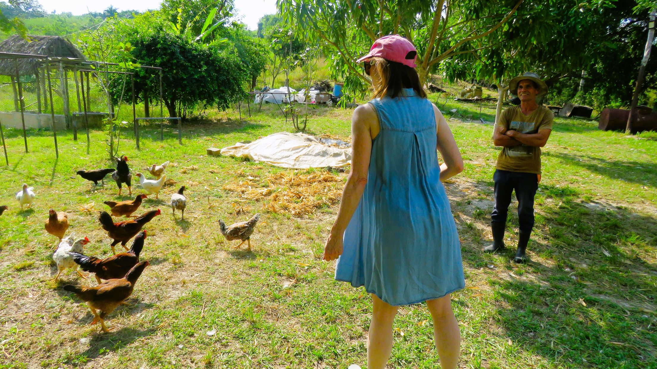 Private Enterprise Farm, Cuba