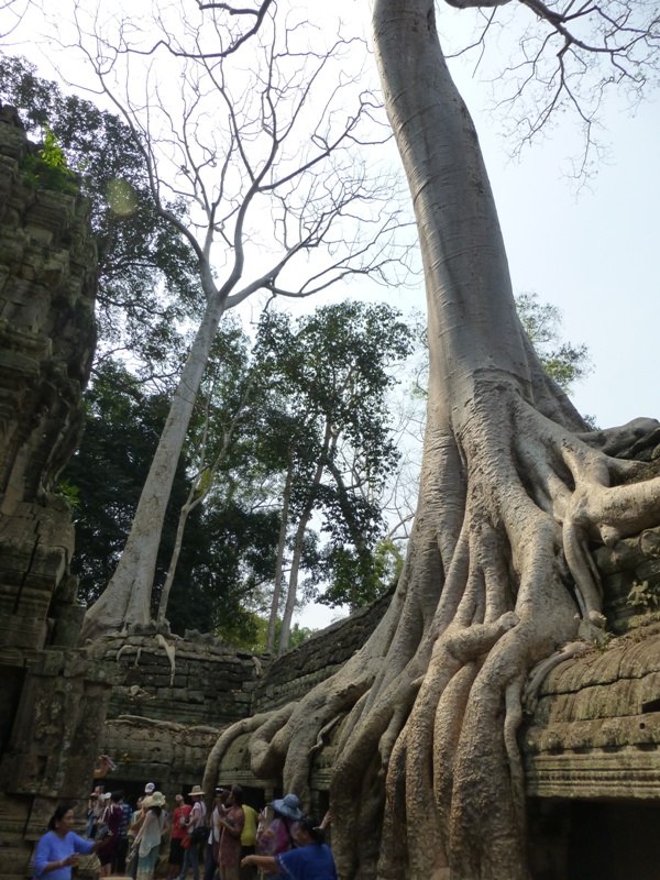 Angkor Wat, Cambodia