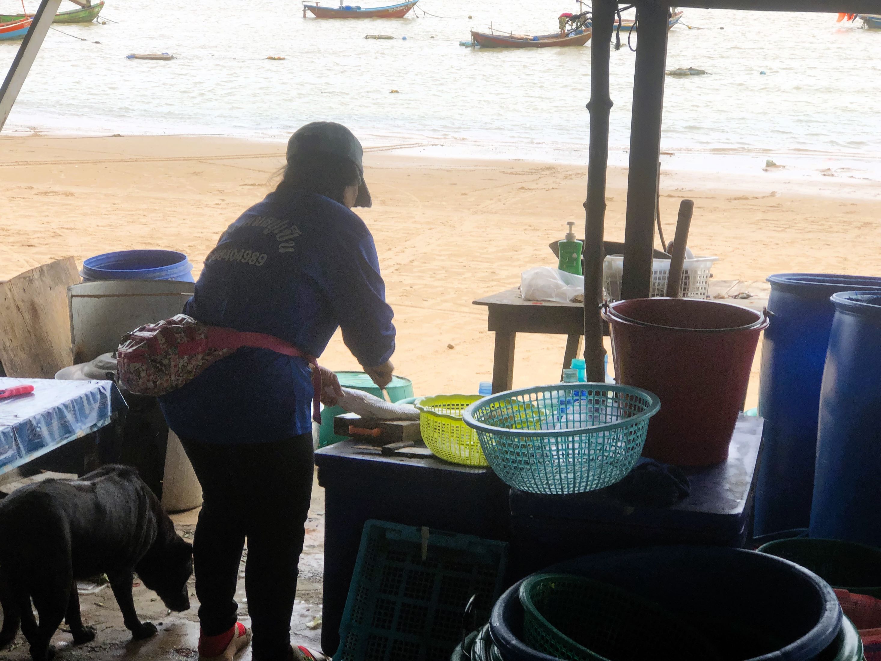 Phala Beach Fish Market, Rayong, Thailand