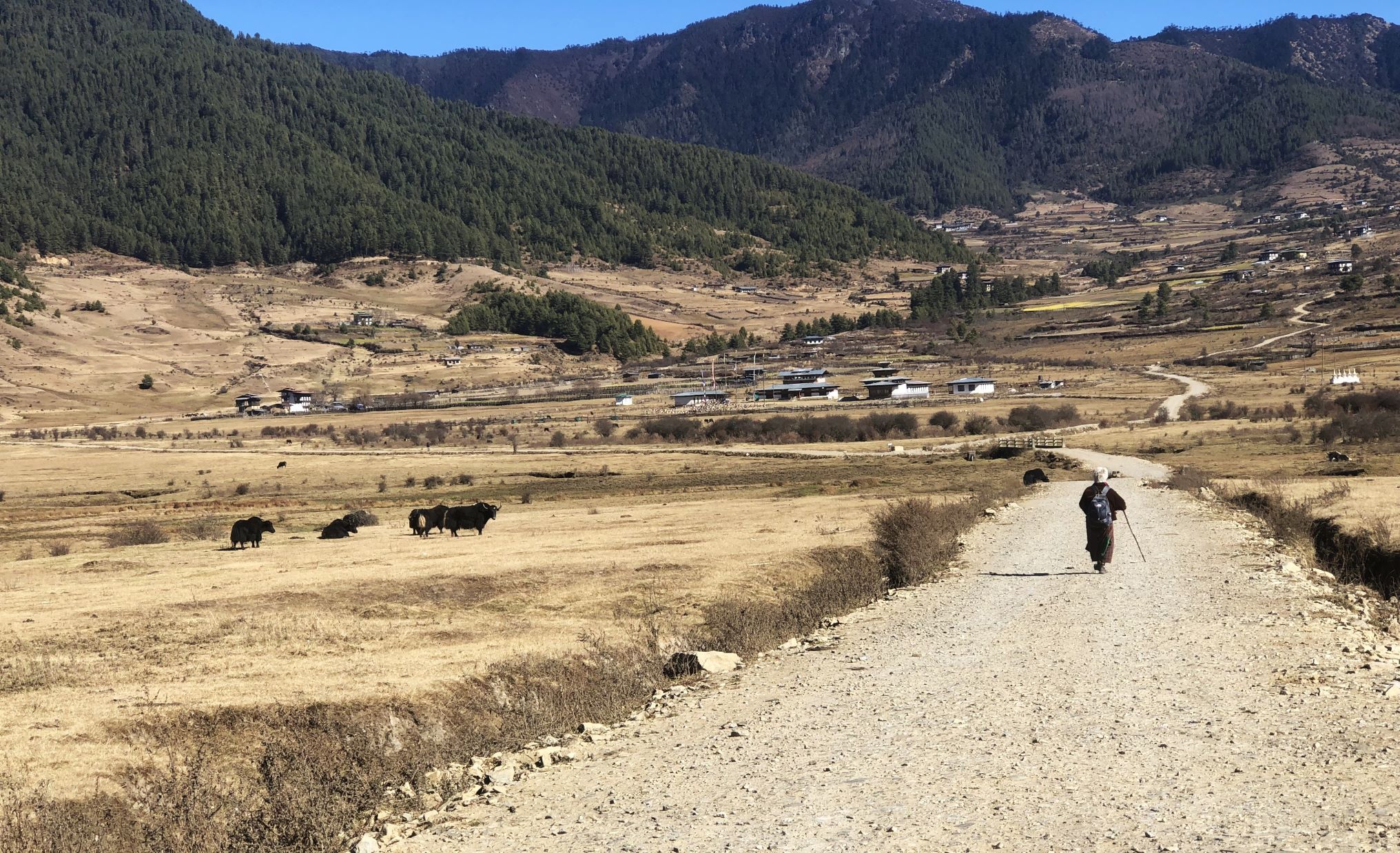 Phobjikha Valley, Bhutan