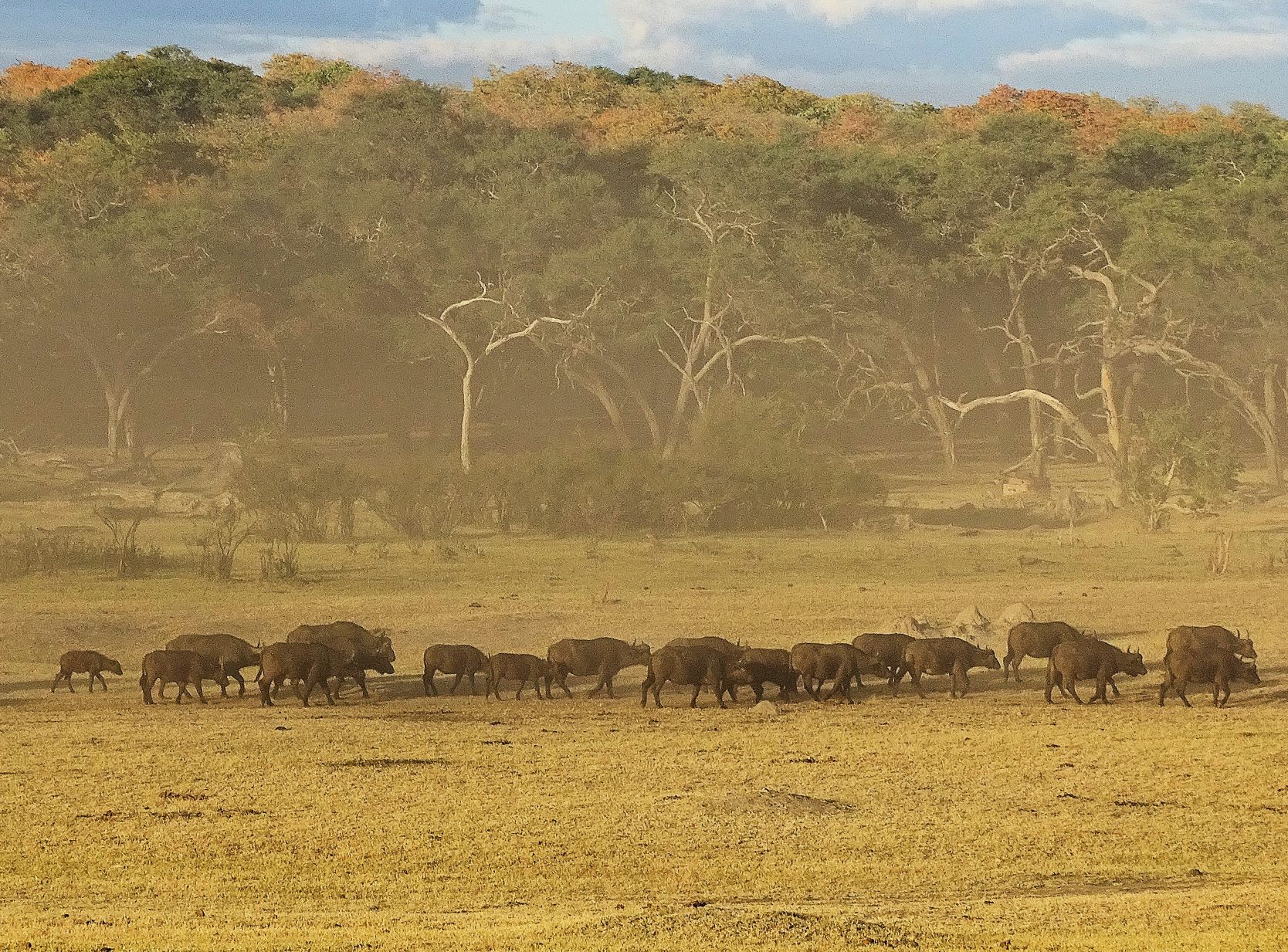 Hwange Safari Lodge, Zimbabwe 