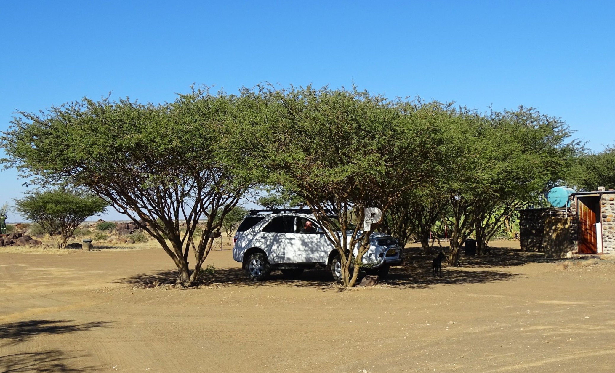 29.  Toyota Fortuna.
