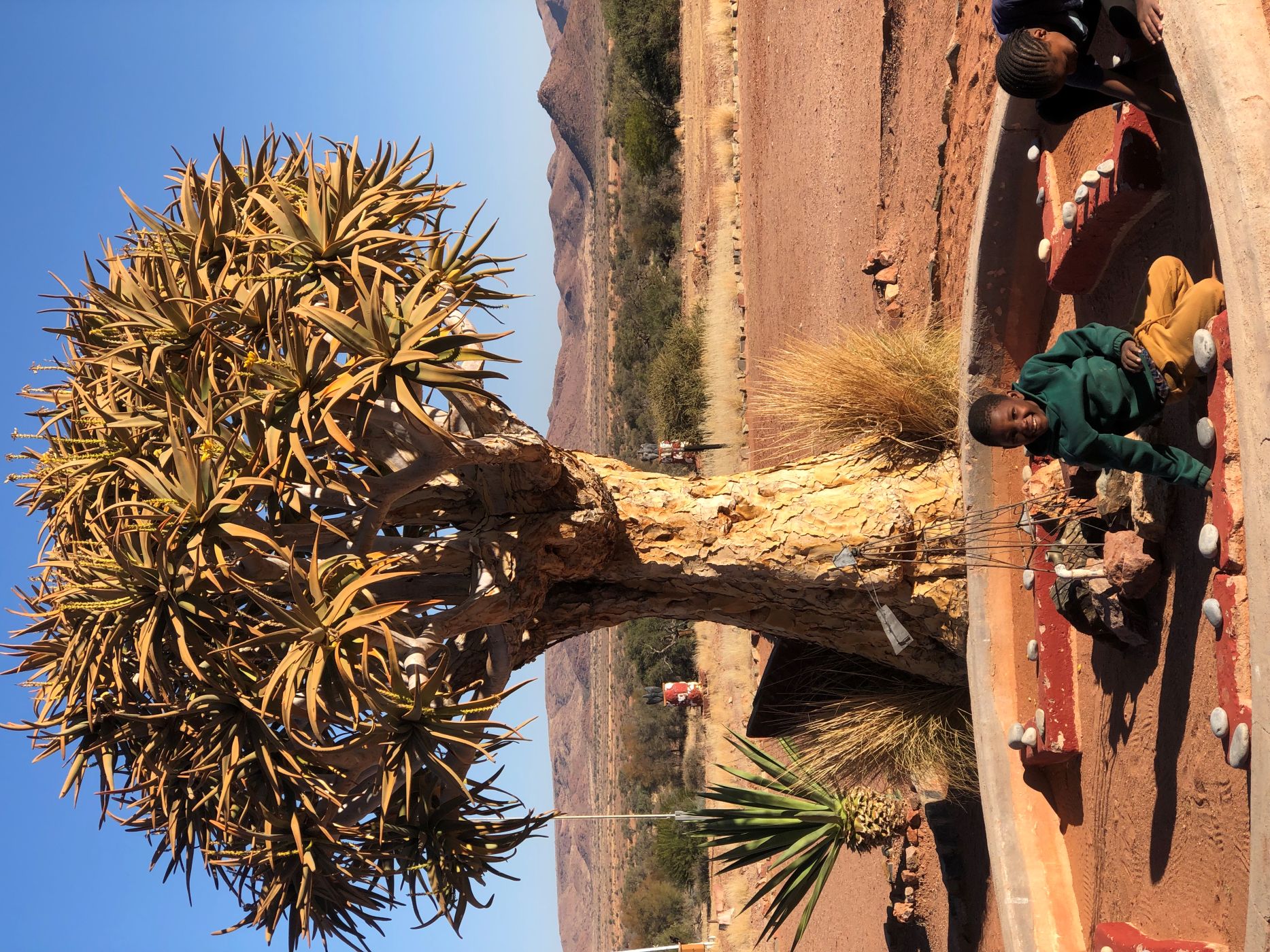 34.  Quiver Tree Playground