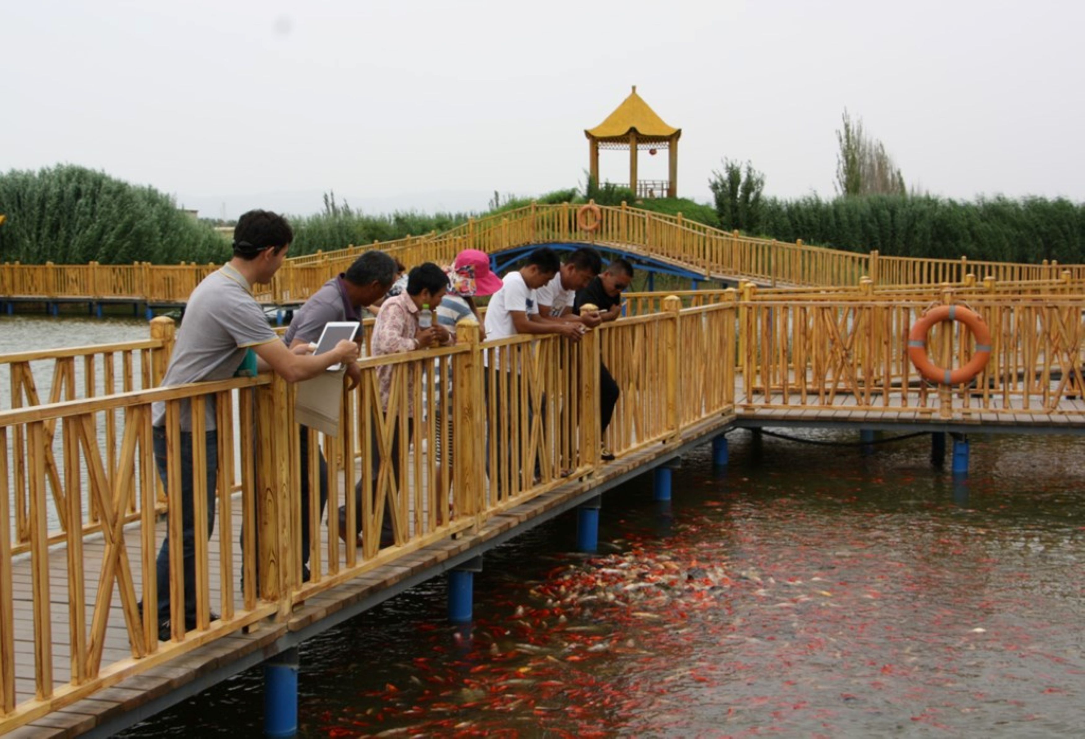 Bosten Lake, Korla, Xinjiang