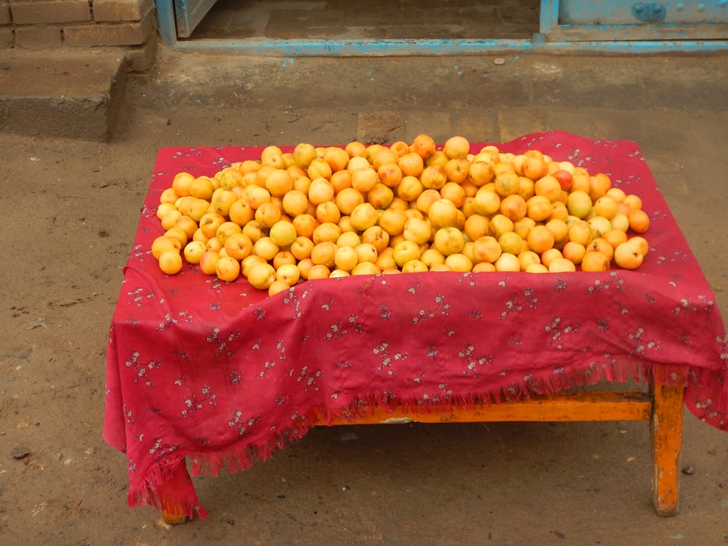 Appricots, Old Town, Kuqa, Xinjiang, China