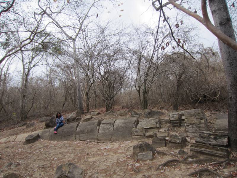 The Petrified Forest Puyango, Machala, Ecuador