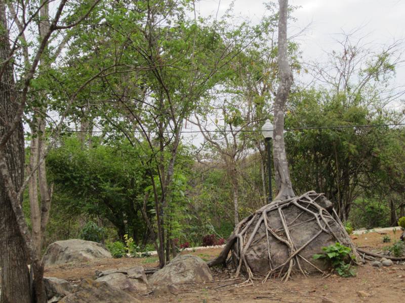 The Petrified Forest Puyango, Machala, Ecuador