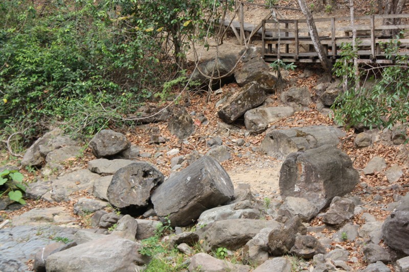 The Petrified Forest Puyango, Machala, Ecuador