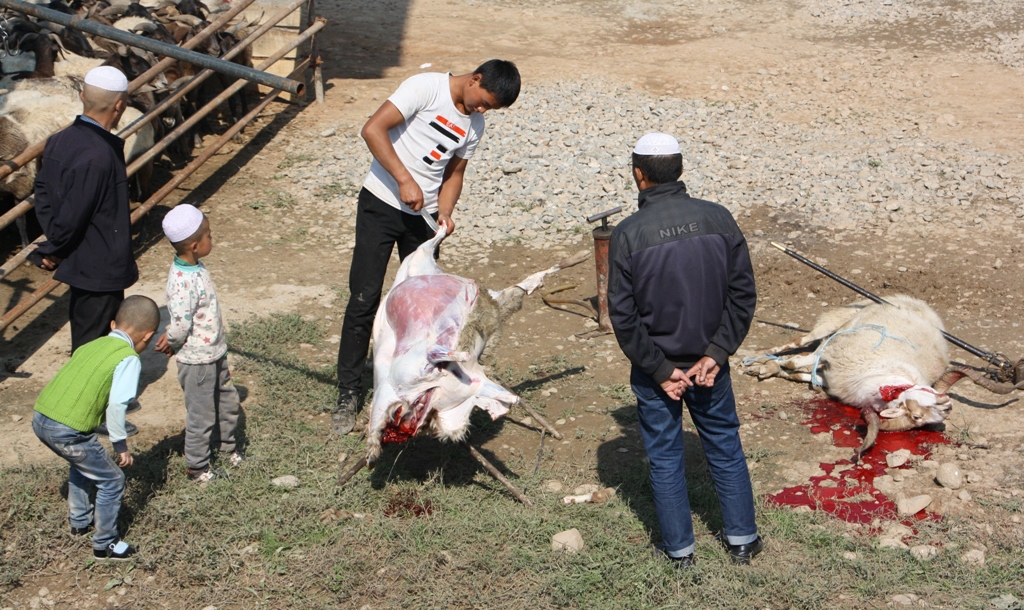 Livestock Market, Gansu Province, China