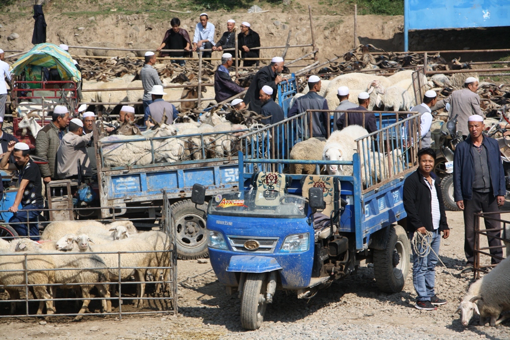 Livestock Market, Gansu Province, China