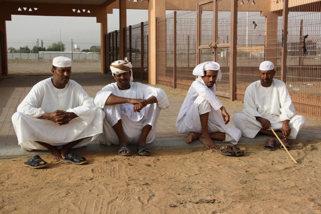 Camel Market, Al Ain, Abu Dhabi, UAE