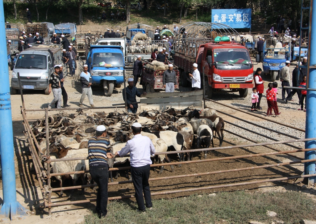 Livestock Market, Gansu Province, China