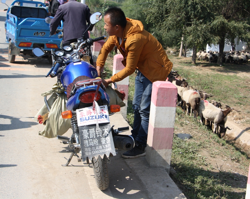 Livestock Market, Gansu Province, China