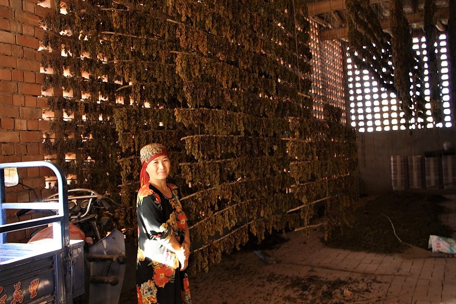 Turpan Village, Xinjiang, China