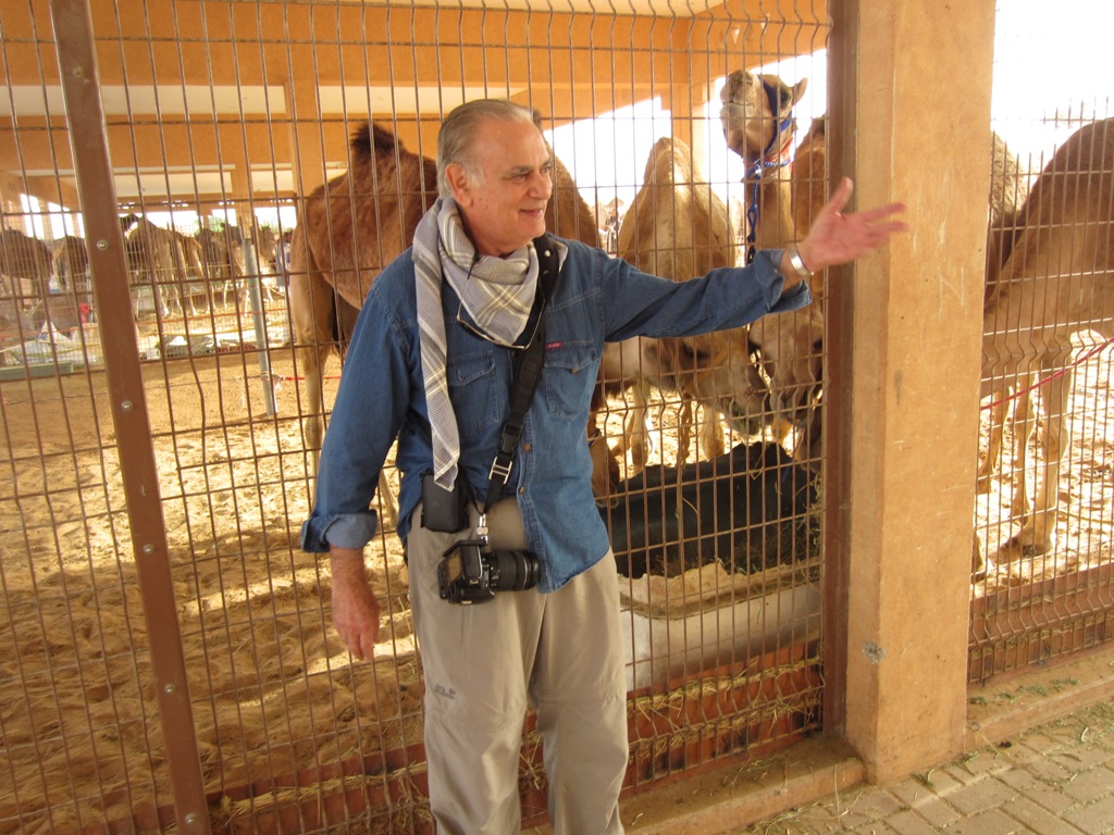 Camel Market, Al Ain, Abu Dhabi, UAE