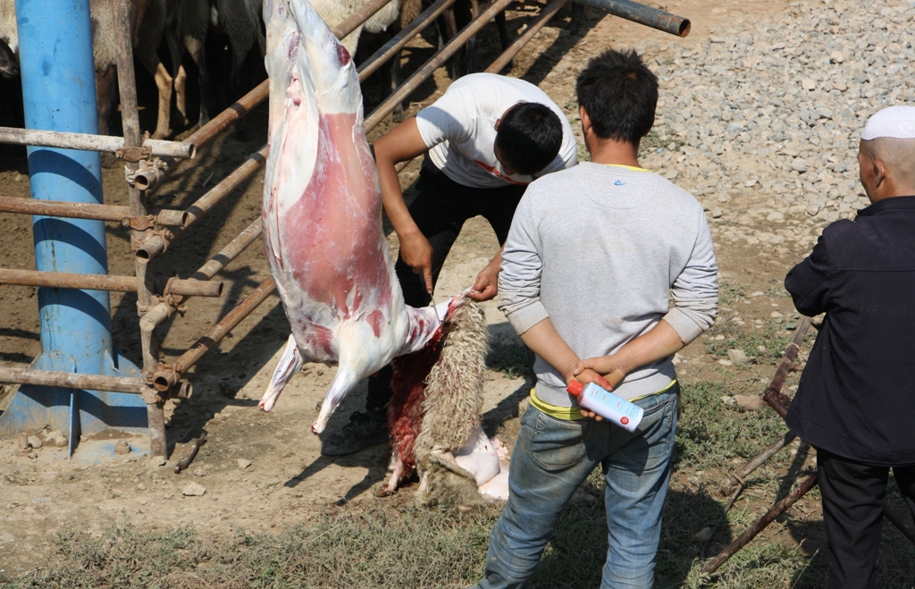 Livestock Market, Gansu Province, China