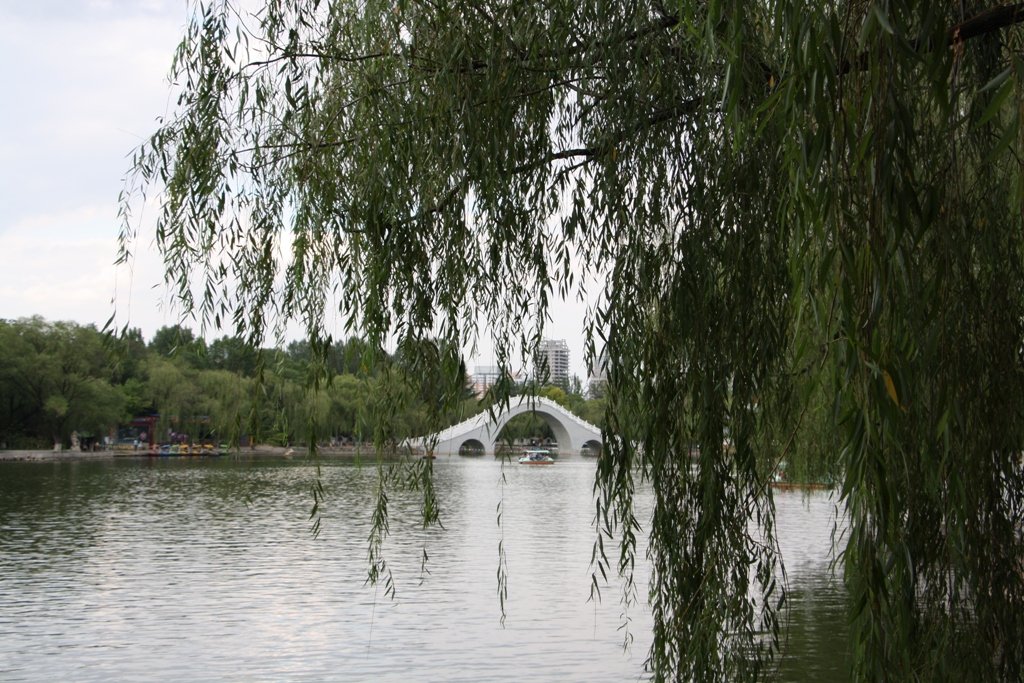 Baoji People's Park, , Baoji, Shaanxi Province,  China