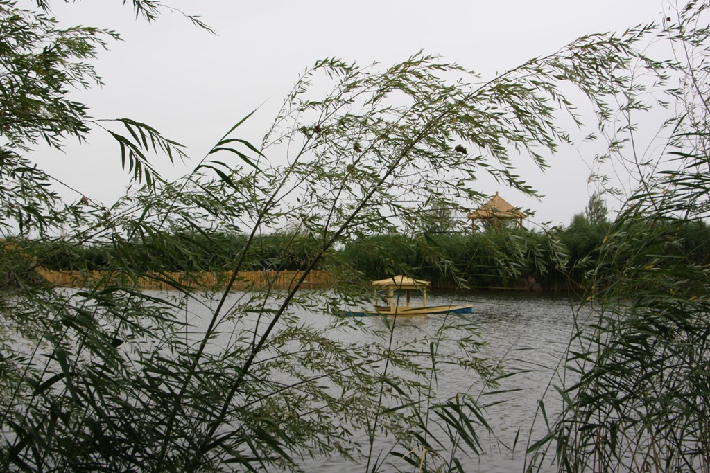 Bosten Lake, Korla, Xinjiang, China