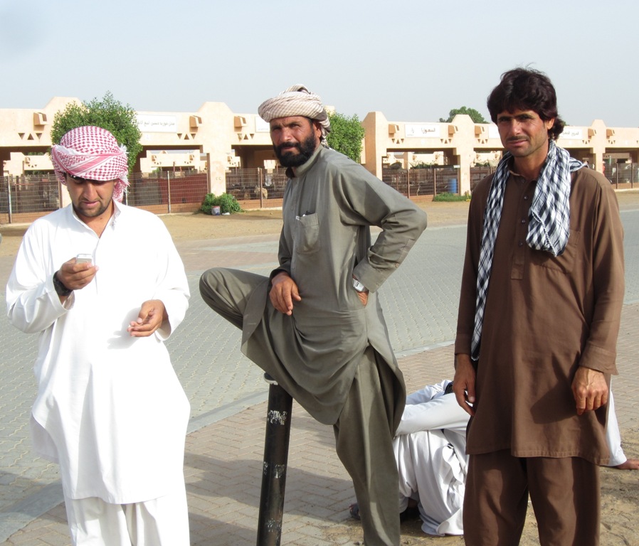 Camel Market, Al Ain, Abu Dhabi, UAE