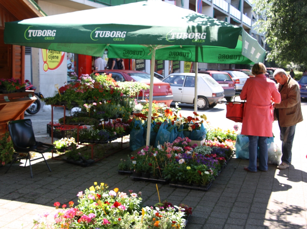 Flower Market, Šibenik, Croatia