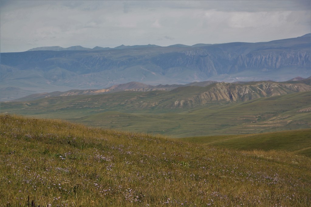 Sangke Grassland, Gannan Tibetan Autonomous Prefecture, Gansu Province, China