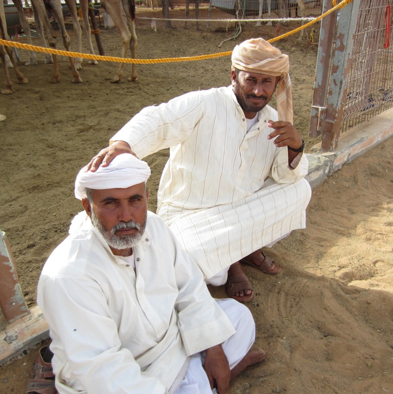 Camel Market, Al Ain, Abu Dhabi, UAE