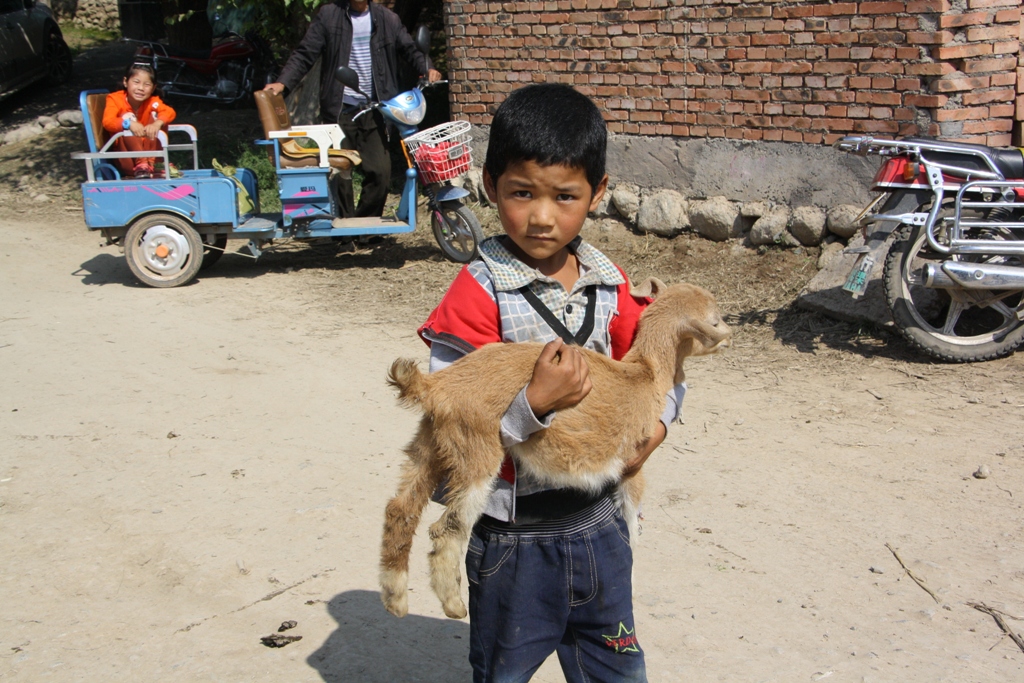 Livestock Market, Gansu Province, China