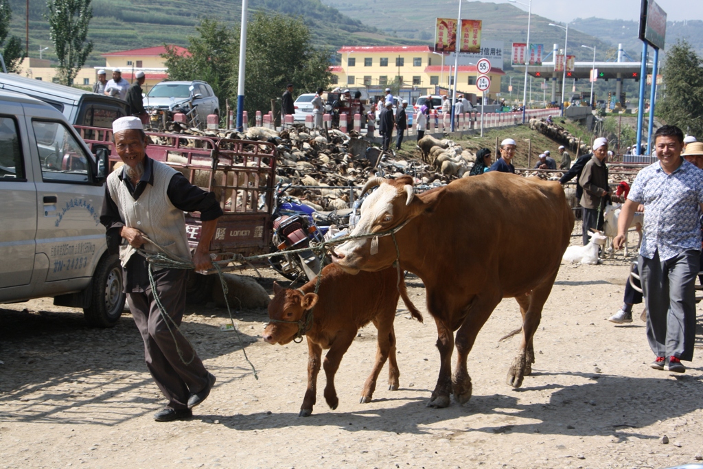 Livestock Market, Gansu Province, China