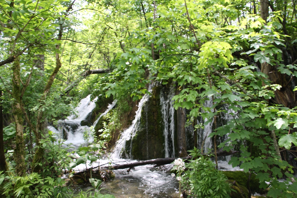 Plitvice Lakes National Park, Zadar Region, Croatia