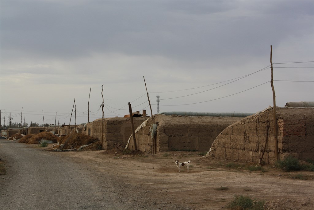 Turpan Village, Xinjiang, China